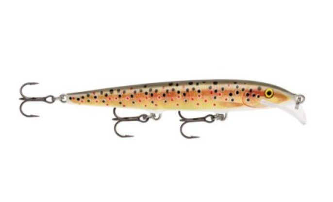 Воблер Rapala Scatter Rap Minnow 11 /TR