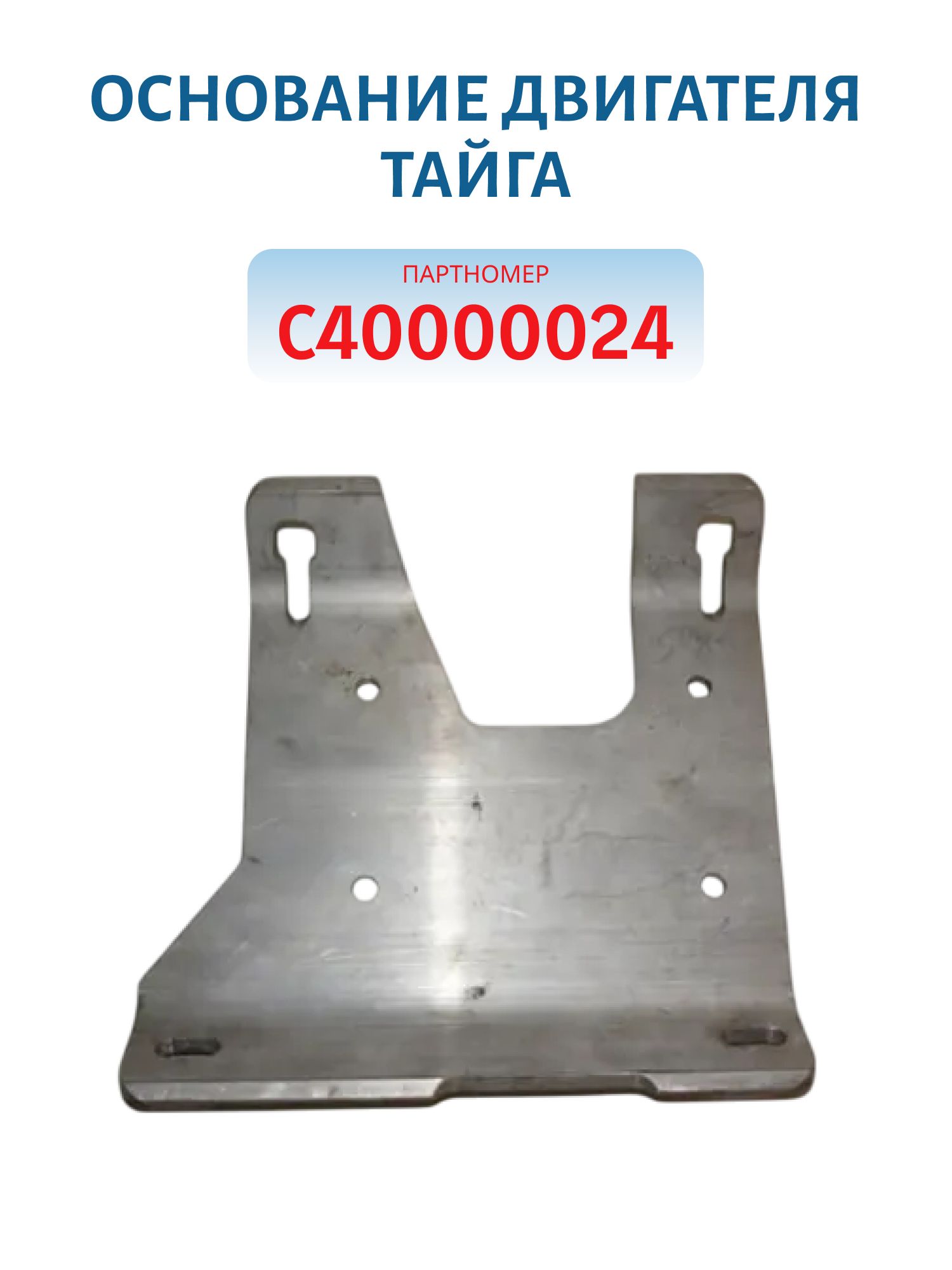 Основание двигателя Тайга C40000024