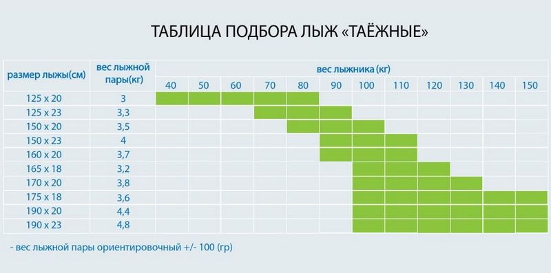 Лыжи дерево "ТАЁЖНЫЕ" 160/20 см. камус узкий