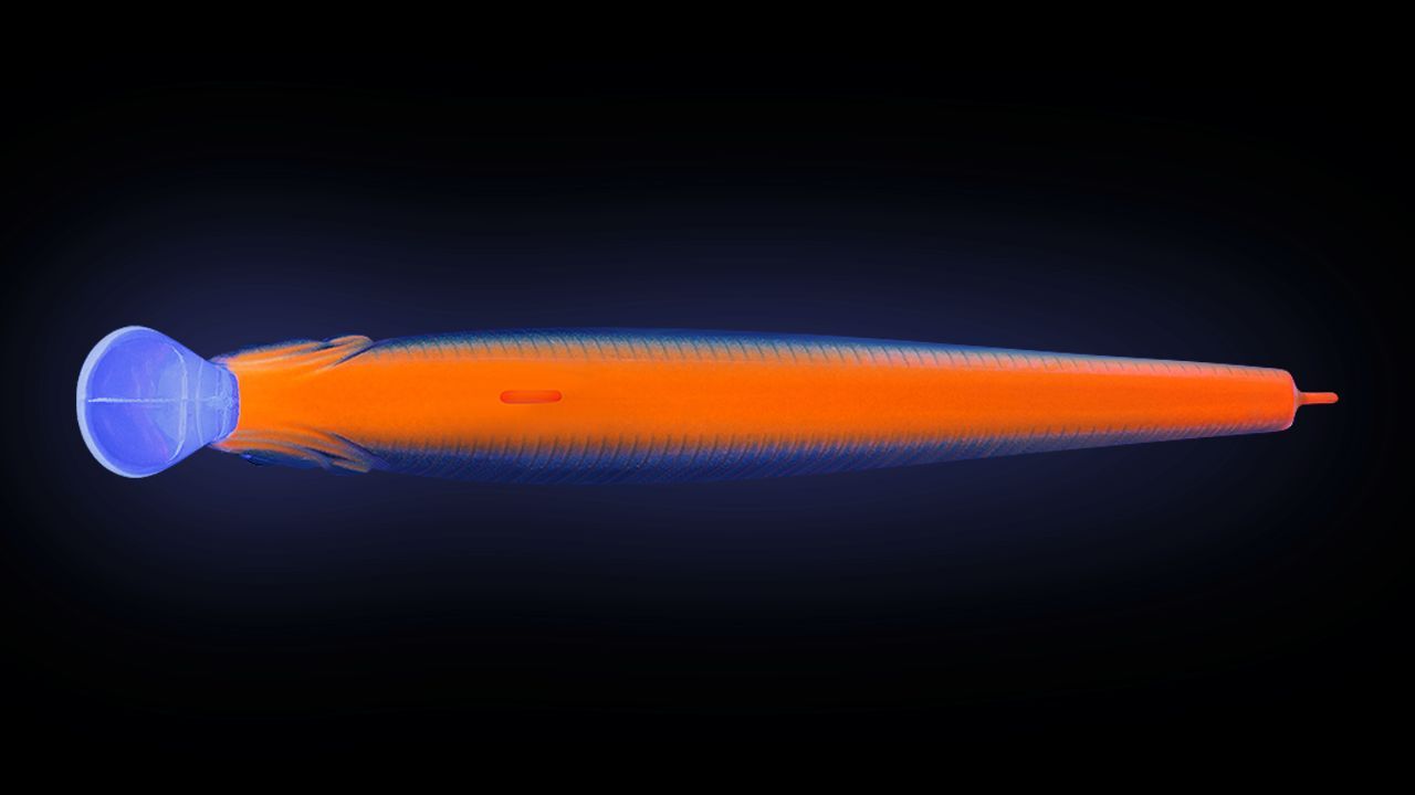 Воблер Минноу Strike Pro Jumper 90SP,  90 мм,  10 гр,  Загл. 0, 8м.-1, 5м.,  Нейтральный,  цвет: A70-713 Black Silver OB,  (EG-192B-SP#A70-713)