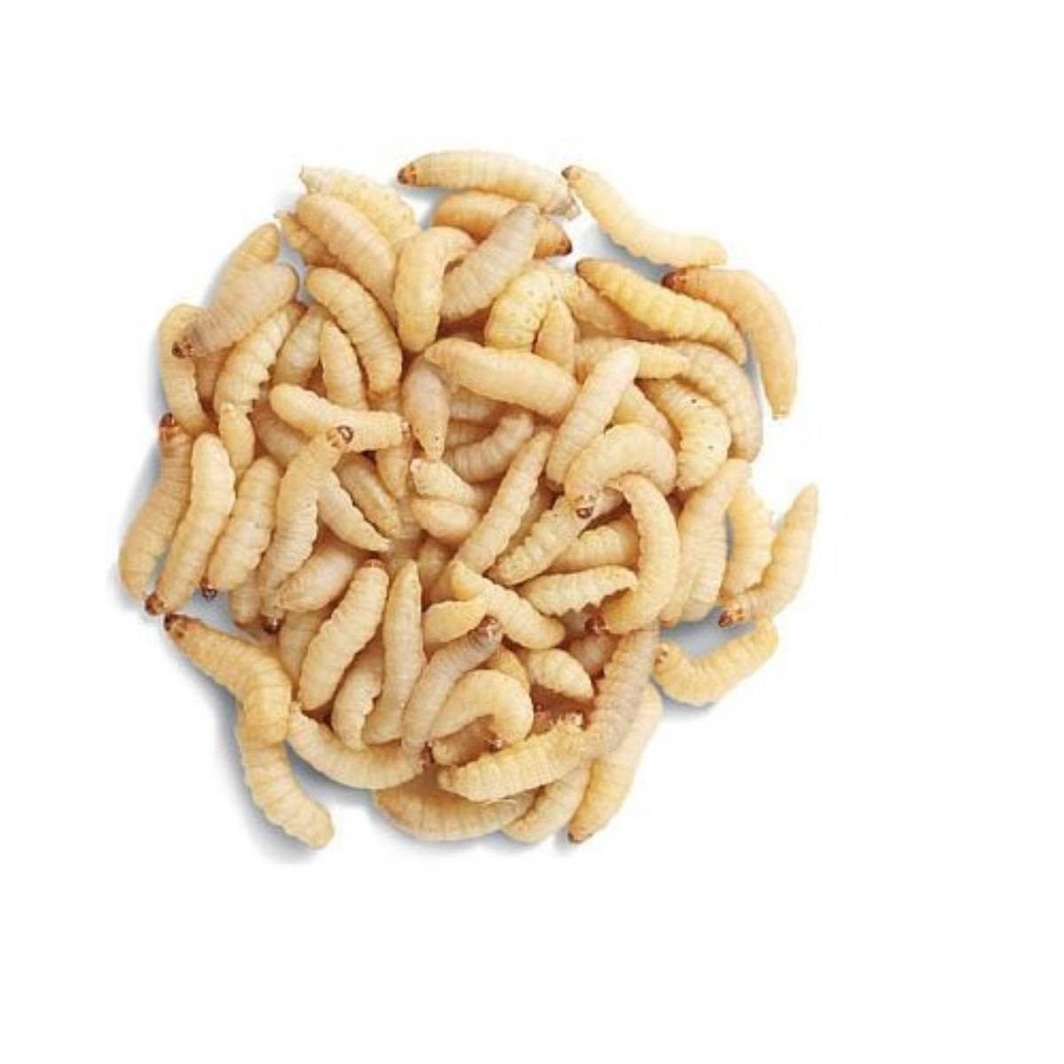 Опарыш (банка)