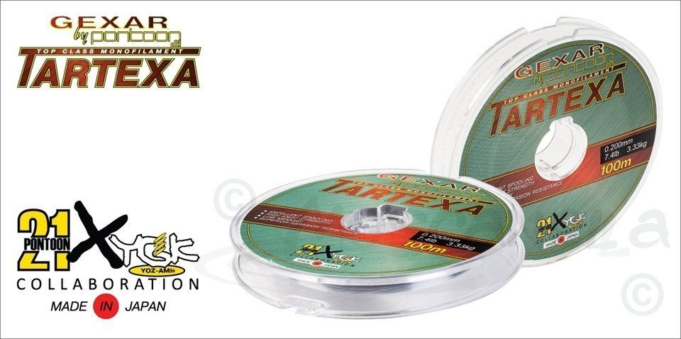 Монолеска Pontoon21 Gexar Tartexa 0.28мм 14, 0Lb 6, 3кг св.серая