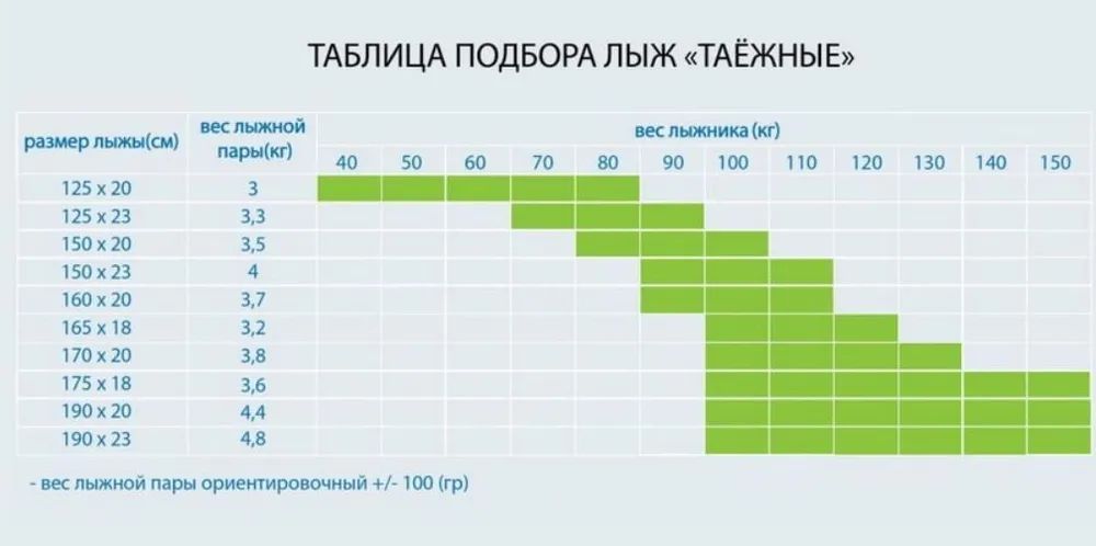 Лыжи дерево "ТАЁЖНЫЕ" 150/20 см. камус узкий