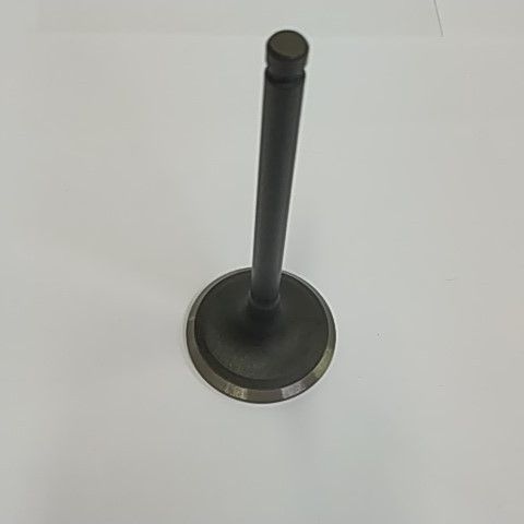 Клапан впускной 400/500 P002000147110000