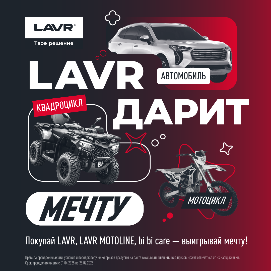 LAVR дарит мечту